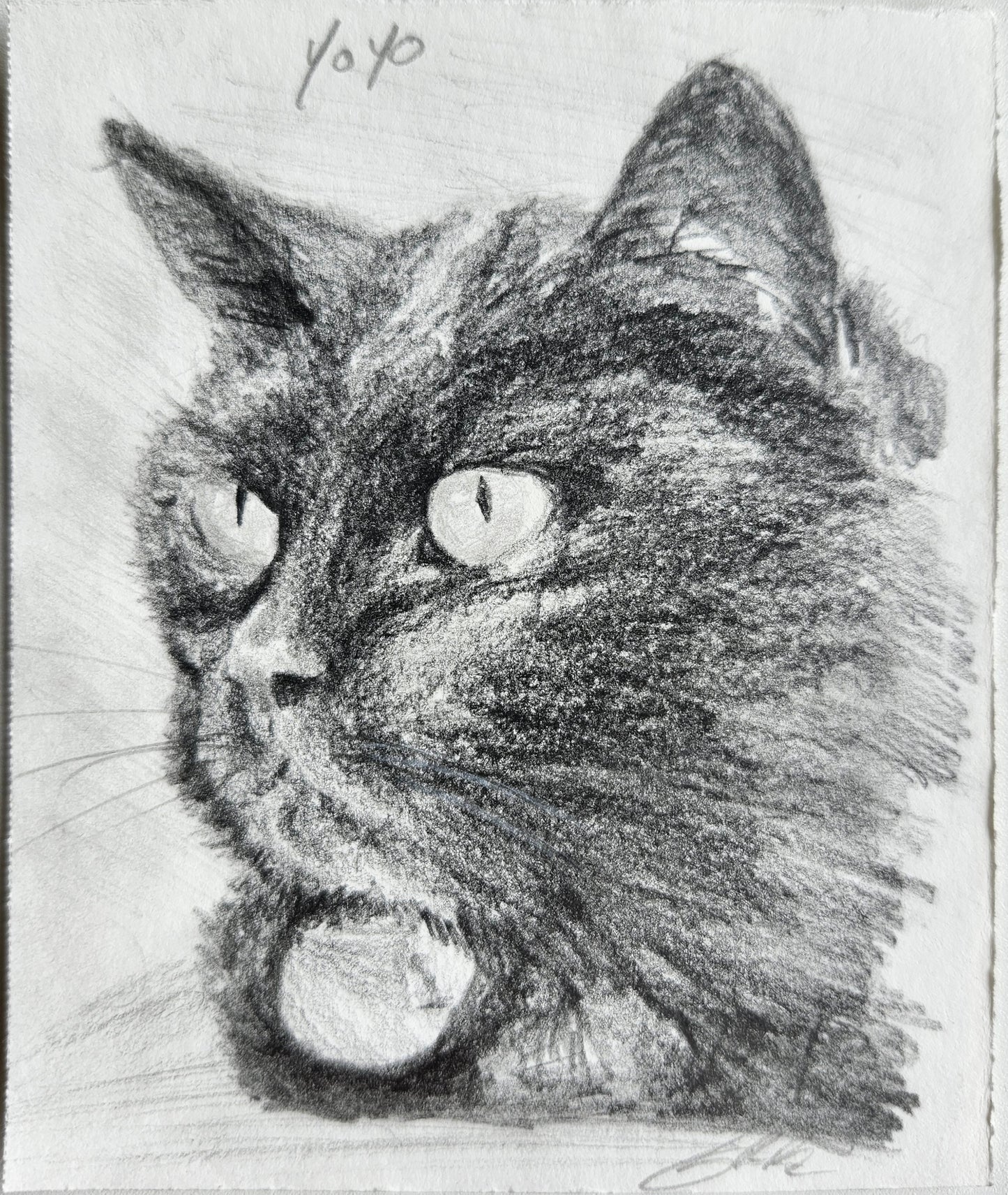 A custom mini pet portrait of a back cat done on graphite pencil by west creek craftsman