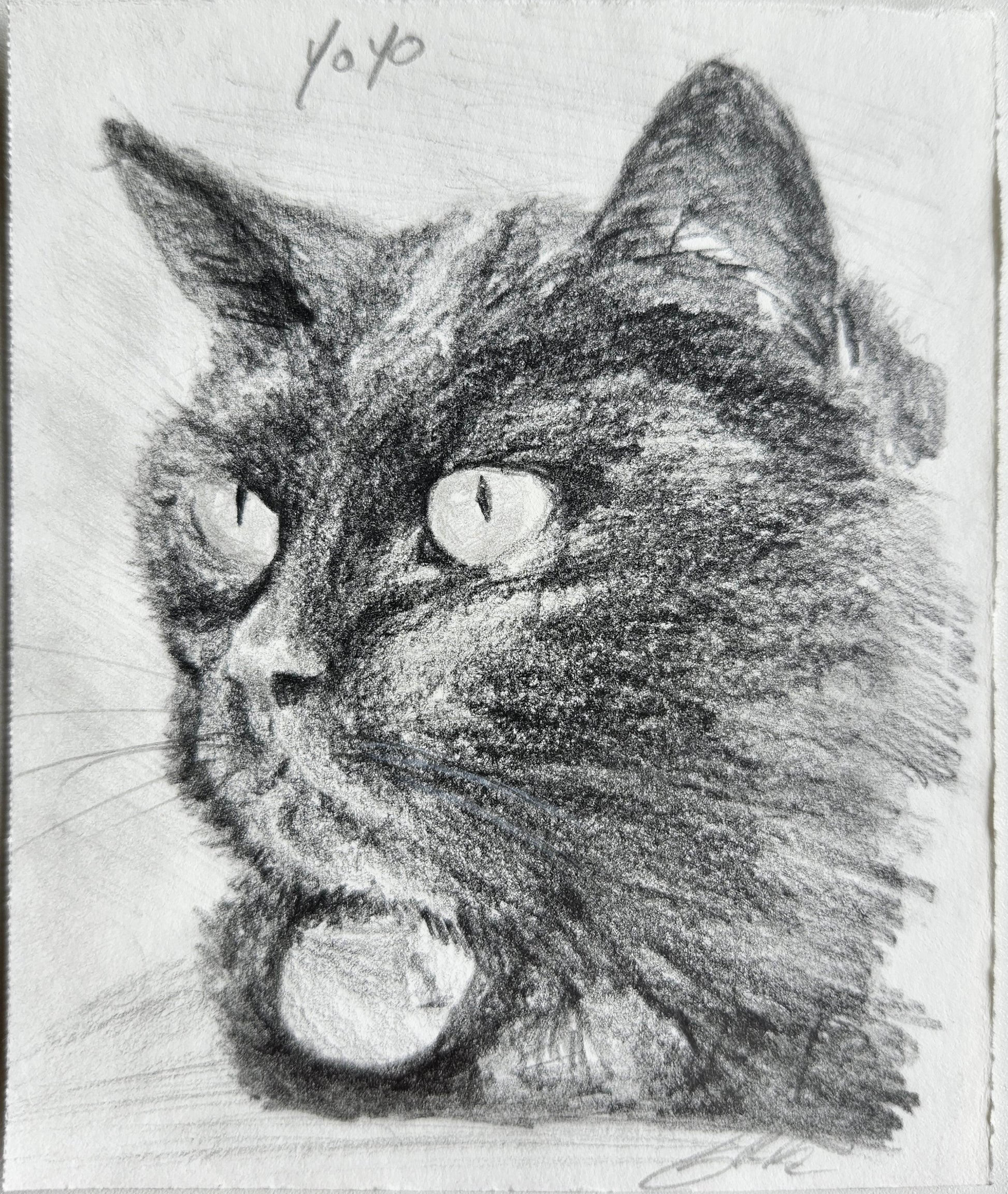 A custom mini pet portrait of a back cat done on graphite pencil by west creek craftsman