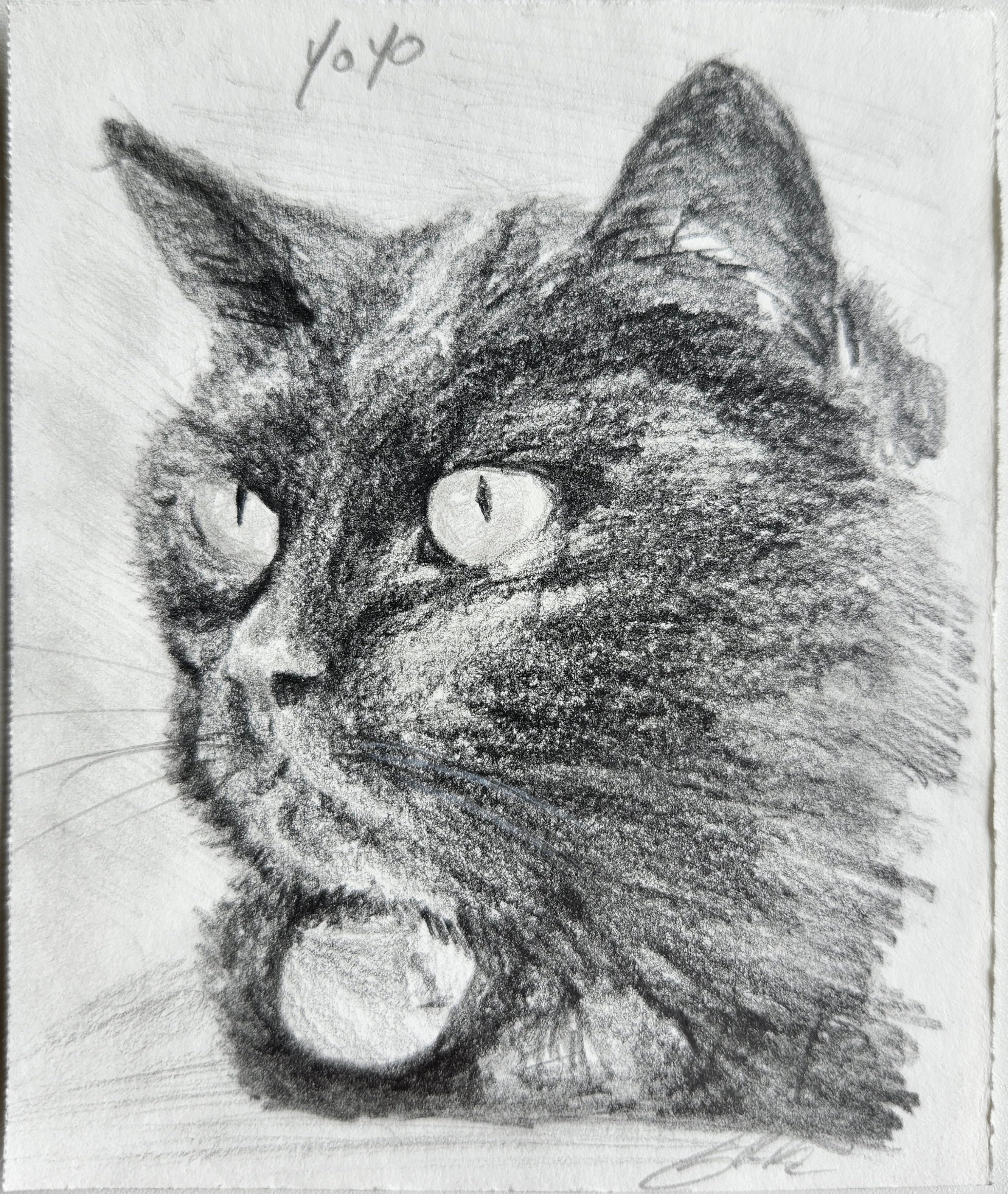 A custom mini pet portrait of a back cat done on graphite pencil by west creek craftsman