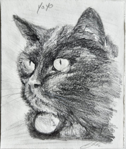 A custom mini pet portrait of a back cat done on graphite pencil by west creek craftsman
