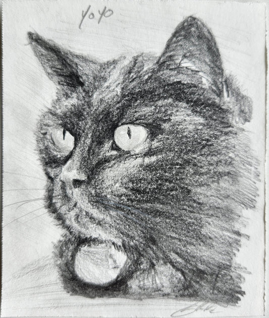 A custom mini pet portrait of a back cat done on graphite pencil by west creek craftsman