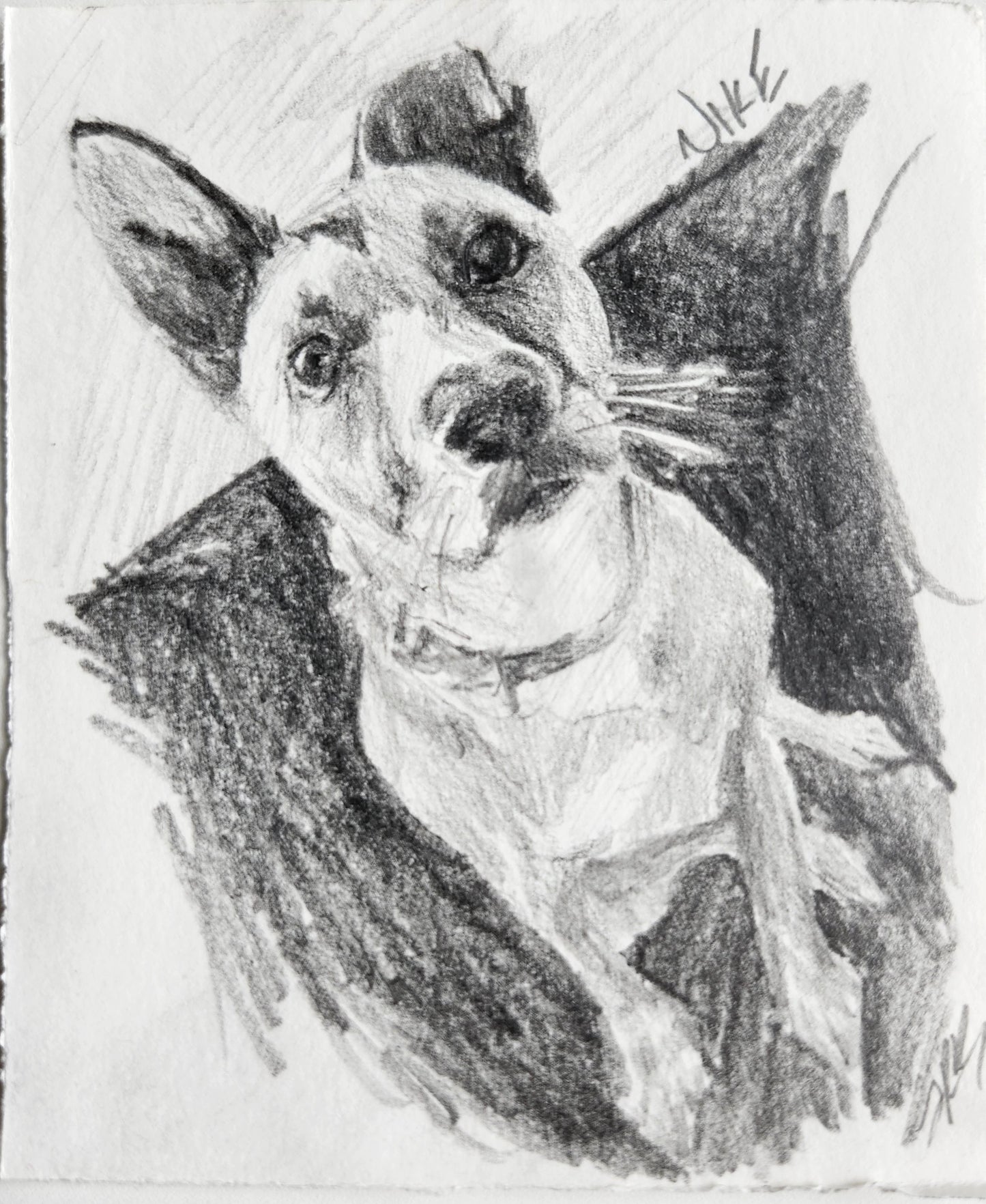 A custom mini pet portrait of a back cat done on graphite pencil by west creek craftsman
