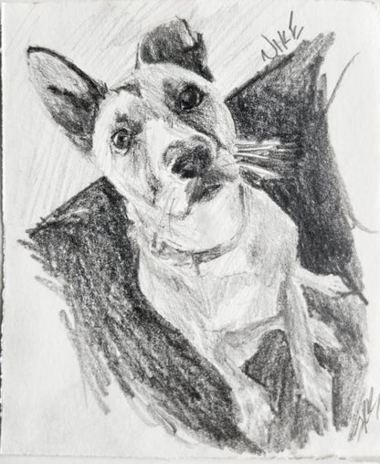 A custom mini pet portrait of a back cat done on graphite pencil by west creek craftsman
