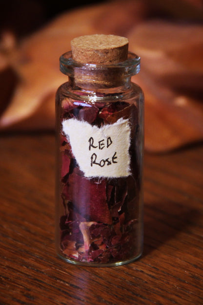 Potion Bottles
