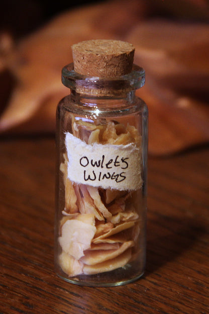 Potion Bottles