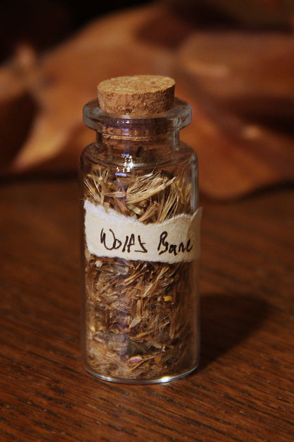 Potion Bottles