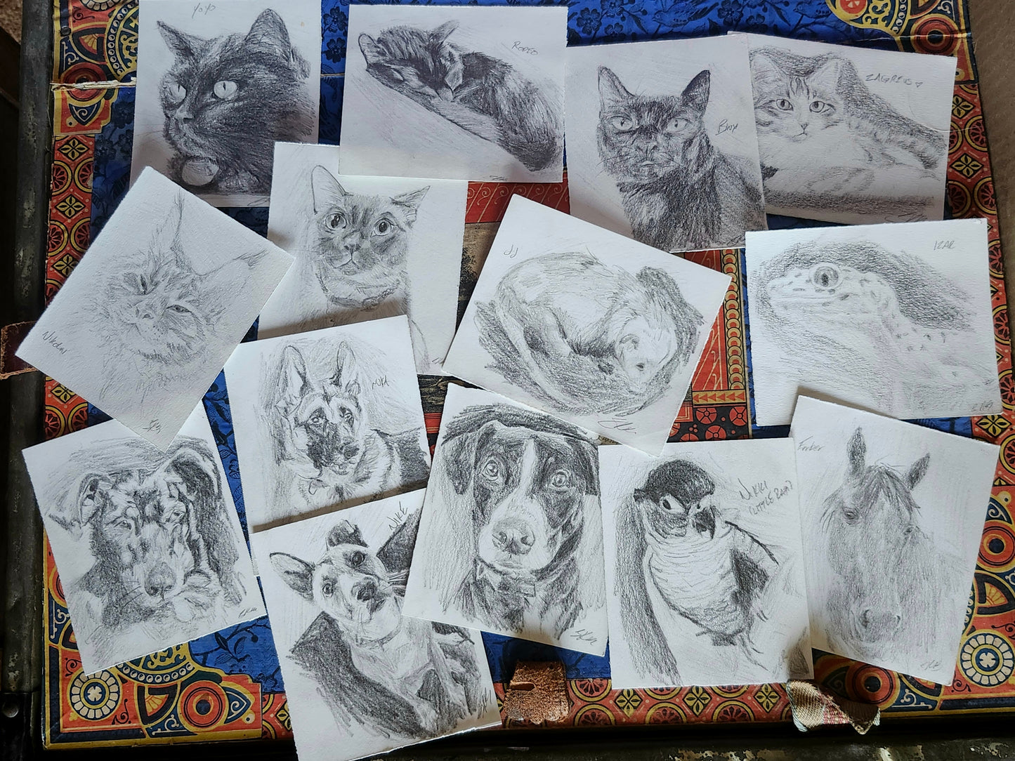 Mini Pet Portraits
