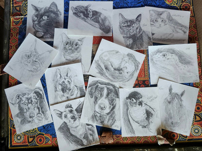 Mini Pet Portraits